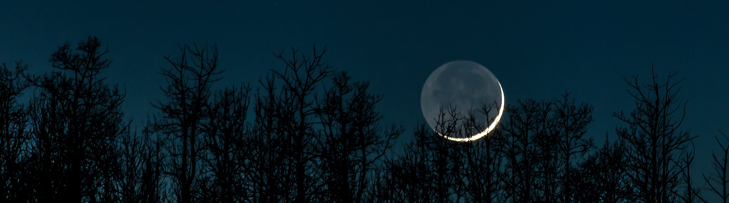 2024 New Moon Manifestation Calendar